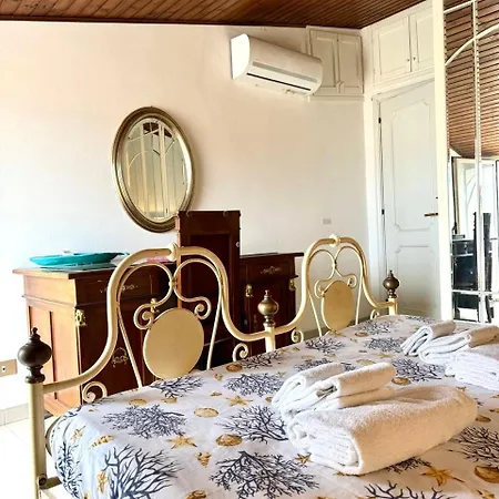 Grazia Deledda Comfort Όλμπια